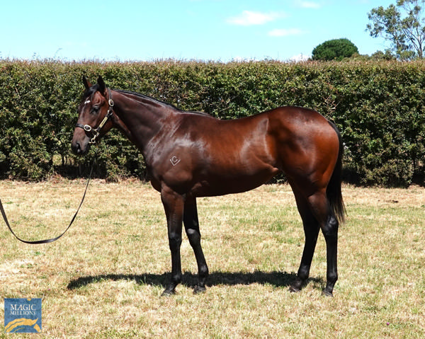Sanniya was a savvy $67,500 MM Tasmania Yearling purchase.