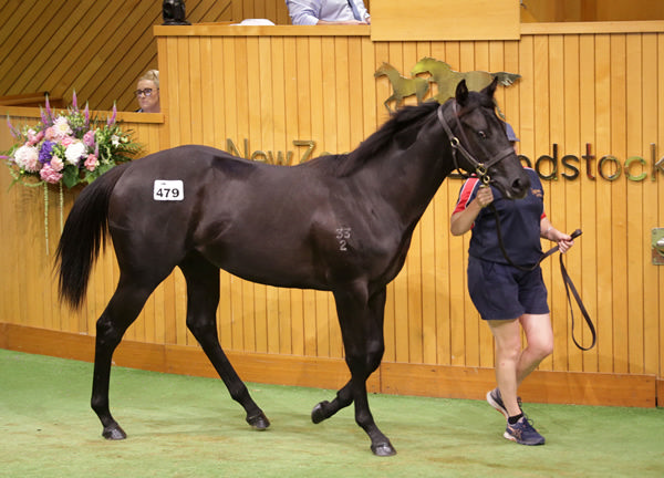 Sheamus Mills went to $650,000 to secure the Savabeel x Stolen Gem filly from the draft of Haunui Farm. Photo: Trish Dunell