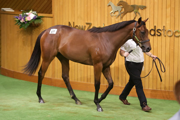 Lot 97, the Savabeel filly out of Makfi mare Chiaretta, was purchased for $600,000 by trainer Andrew Forsman and bloodstock agents Andrew Williams and Bevan Smith. Photo: Trish Dunell