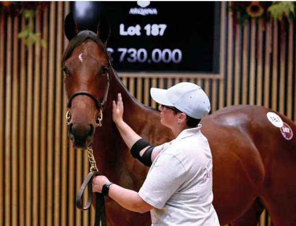 Sea the Stars filly from La Vie - image Arqana / Zuzanna Lupa 