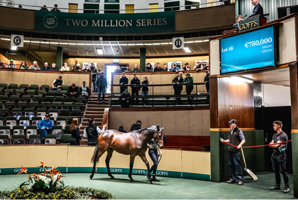 The half-sister to State of Rest tops the Goffs Orby opening session.