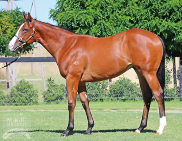 Secretively as a yearling