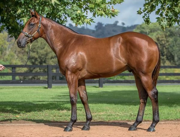 $2.3million Inglis Easter purchase Setanta