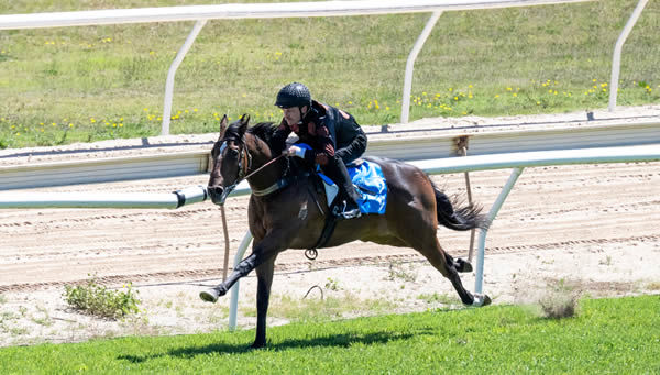 Shalaa (IRE) colt from Sista Act breezed in 10.16 seconds.