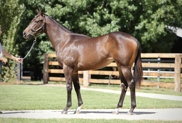 Shiki was a $420,000 MM purchase.