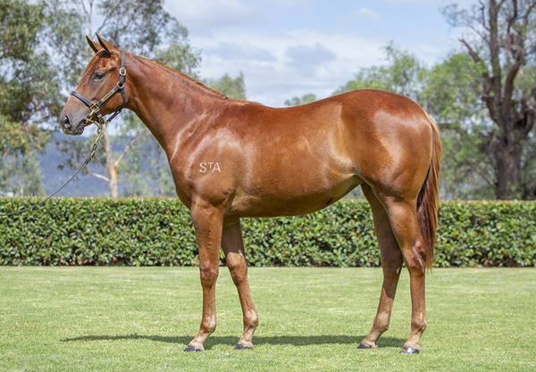$750,000 Stay Inside filly from Ruru.