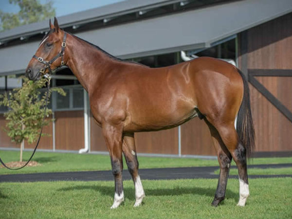 Significance was a $1.1million Inglis Easter yearling purchase.