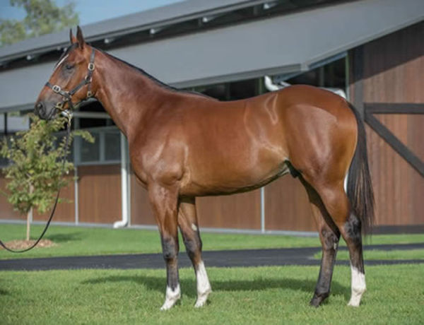 $1.1 million Inglis Easter purchase Significance