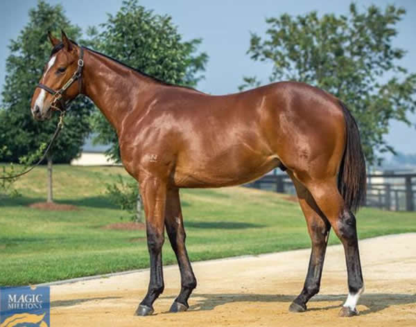 Single Honor as a yearling