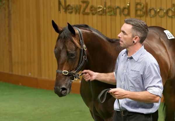 Hong Kong Derby (2000m) winner Sky Darci with Highden Park’s Sam Bleakley at the 2018 New Zealand Bloodstock Yearling Sales. Photo: Trish Dunell