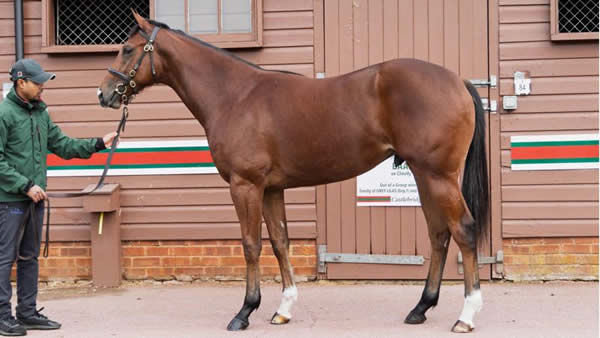 Lot 54
