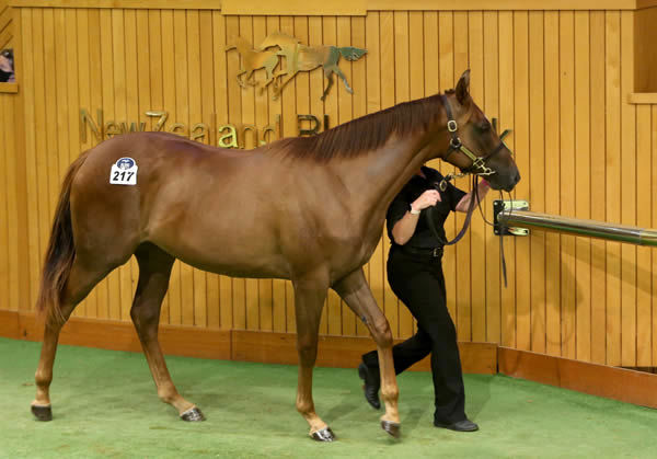 $600,000 Snitzel filly from Eleonora.