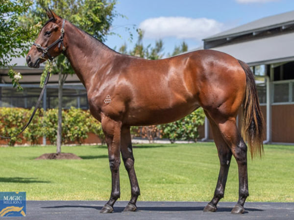 Southern Charm was a $180,000 Magic Millions purchase.