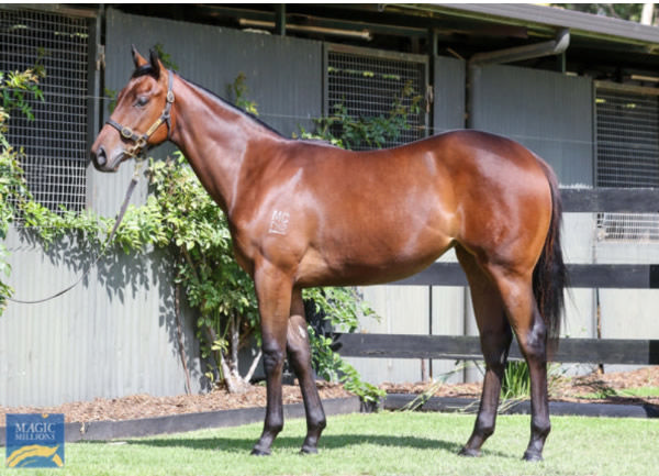 Space Rider was a $500,000 Magic Millions purchase.