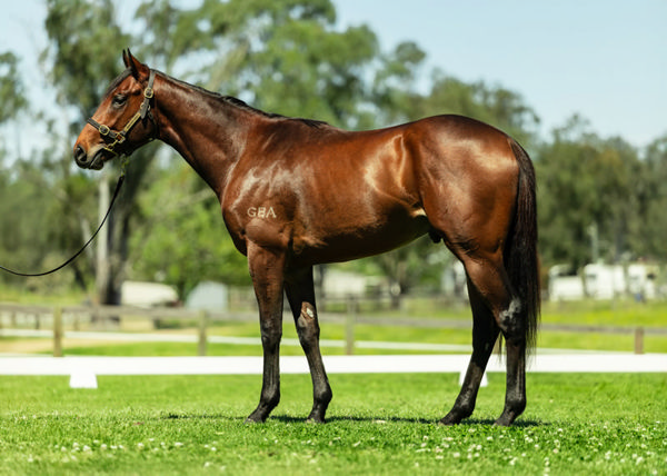 Lot 26 - click to see his page.