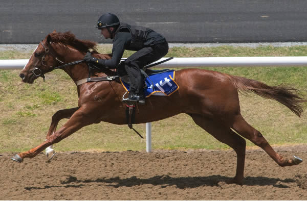 Street Boss (USA) colt from Unbounded stretching out to run 10.02 seconds.