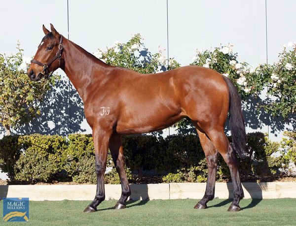 Super Extreme a $5,000 Magic Millions National yearling