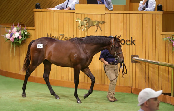 Patella Bloodstock went to $700,000 to secure Lot 146 by Super Seth. Photo: Trish Dunell