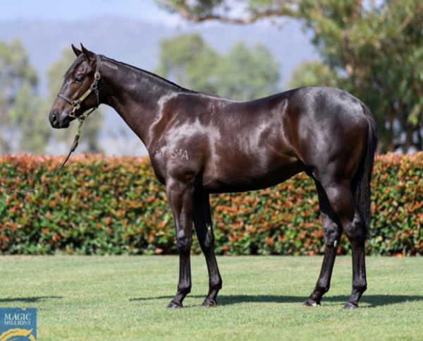 Swag was a $240,000 Magic Millions purchase.