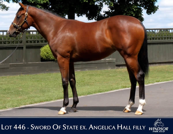 $350,000 Sword of State filly from Angelica Hall.