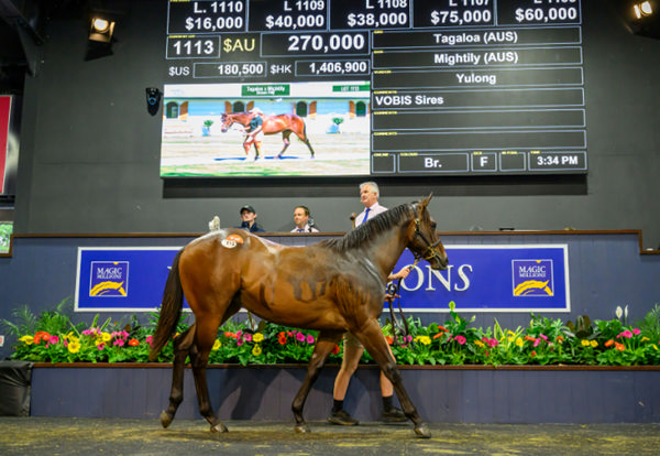 Tagaloa filly from Mightily topped Book 2 - image MM