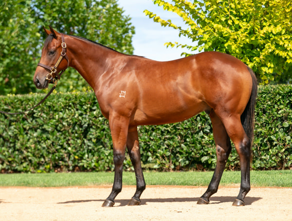 Tales of Time was a $170,000 Inglis Classic purchase from Milburn Creek.