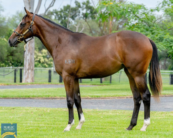 Tara Rani as a yearling.