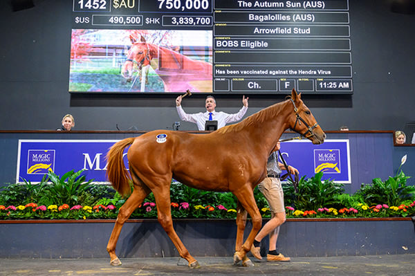 $750,000 The Autumn Sun filly from Bagalollies.