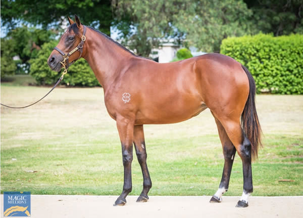 $350,000 Tassort filly from Taste of Money.