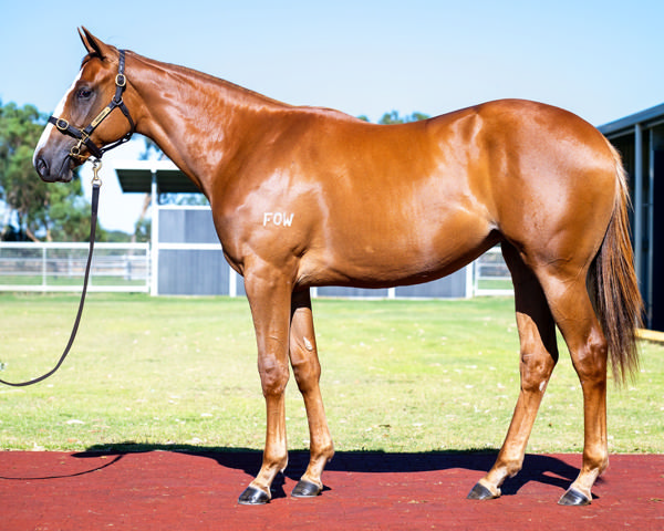 They'reallsisters was a $90,000 MM Perth purchase from Ridgeport Holdings. 