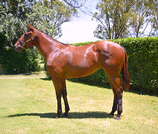 Toorak Jewel was a $36,000 MM Book 2 purchase.