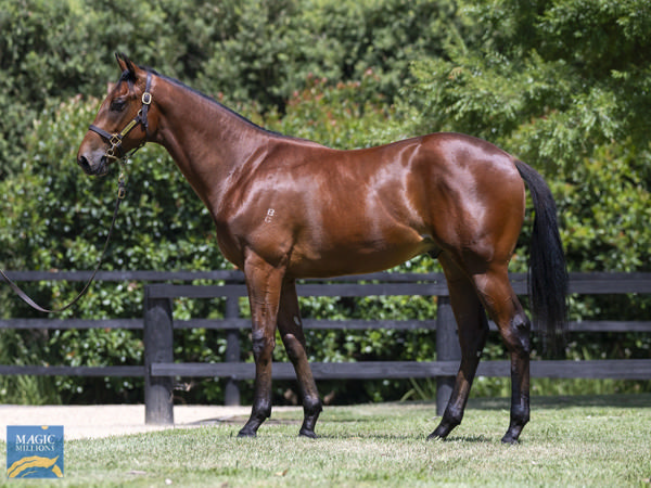 Top Reward was a $300,000 Magic Millions purchase.