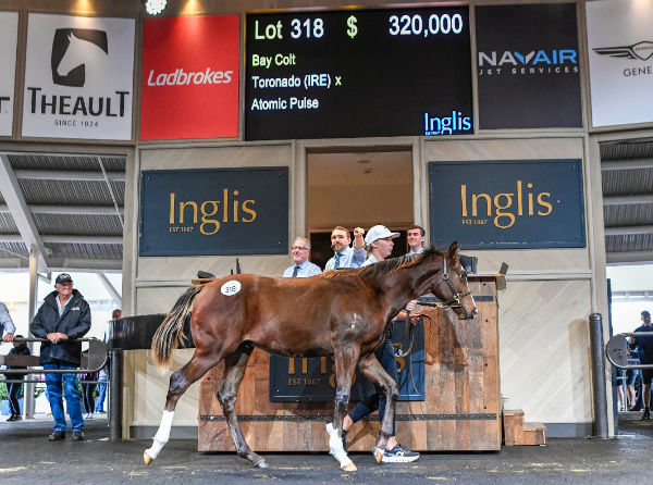 $320,000 Toronado (IRE) colt from Atomic Pulse was the top lot on Tuesday.