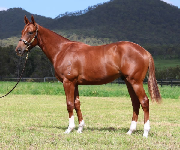 $400,000 Toronado (IRE) colt from Write the Score. 