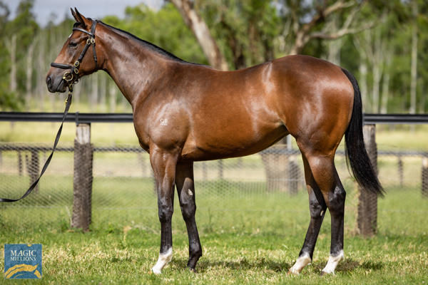 Tuileries was a $360,000 Magic Millions purchase.