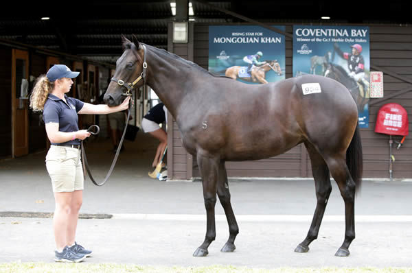 $220,000 Turn Me Loose filly from Night of Passion.