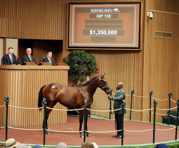 $1.35 million Uncle Mo colt from Forever Now