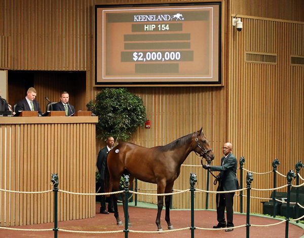 $2million Uncle Mo colt from Helena Bay.