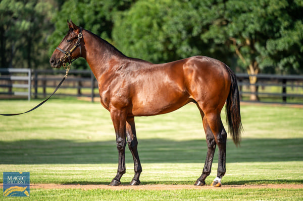 Unit Five was an $80,000 Magic Millions purchase from Widden Stud.