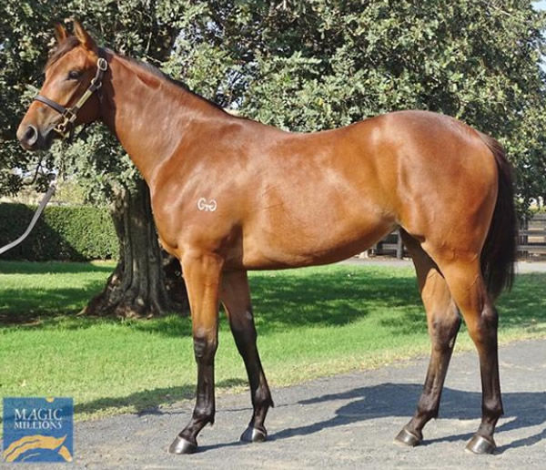 Vaccine as a yearling