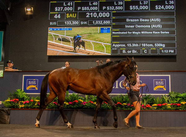 $210,000 Brazen Beau colt from Inner Demons.