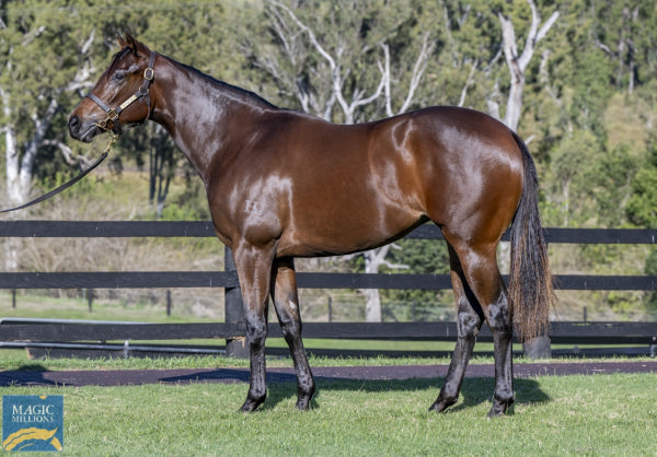 $1million Wootton Bassett (GB) filly from Gaudeamus (USA).