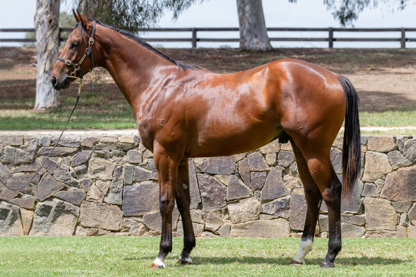 Lot 645 - Written By colt from Matryoshka.