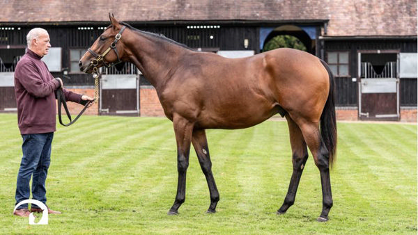 Lot 273