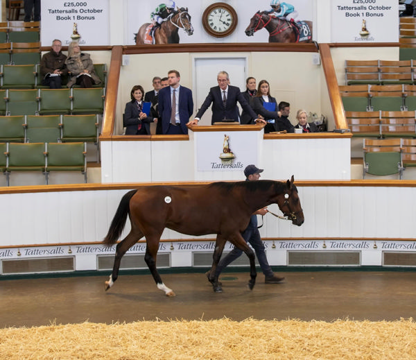 Lot 477: Wootton Bassett (GB) / Time Tunnel (GB)