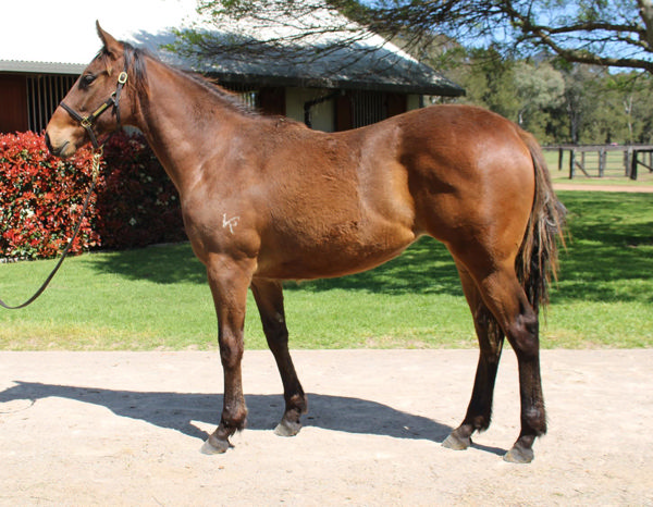 Where's the Circus was a diamond in the rough - click to see her page on Inglis Digital