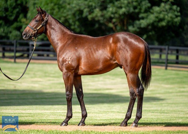 With a Vengeance was a $240,000 Magic Millions purchase.