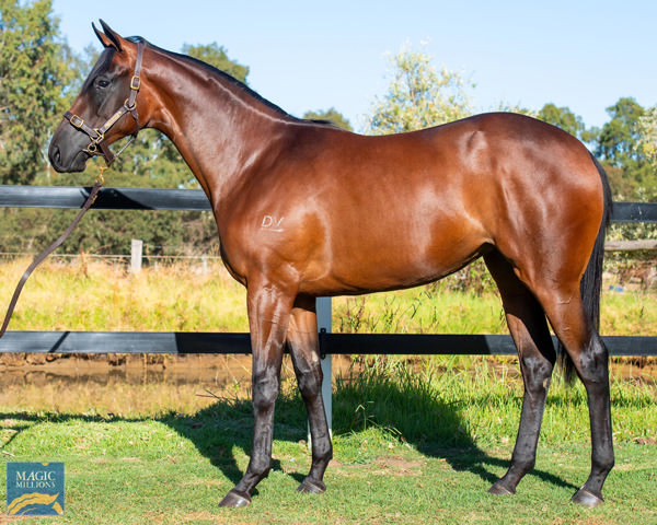 Wonderfully Made was a $250,000 MM Perth purchase.