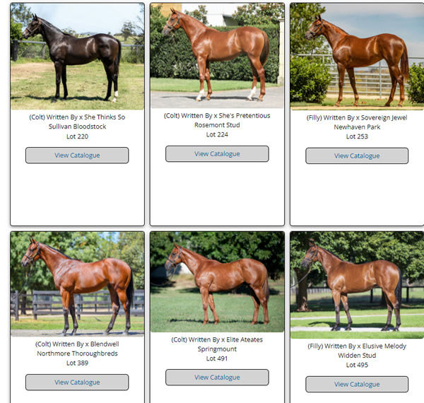 Click to see all the Written By yearlings.