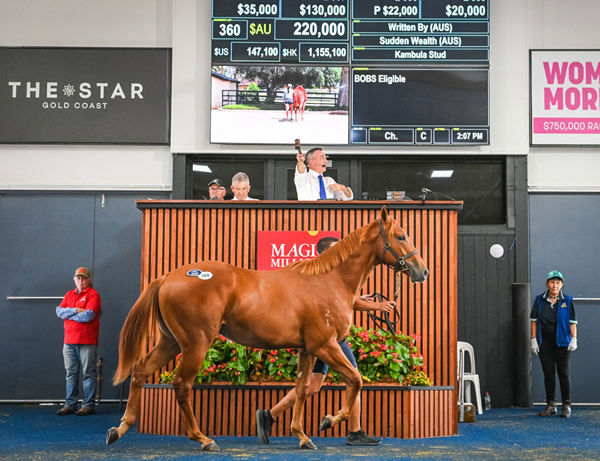 $220,000 Written By colt from Sudden Wealth topped the session on Wednesday.